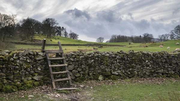 Mody landscape image of Loughrigg Tarn in UK Lake District durin — Stock Photo, Image