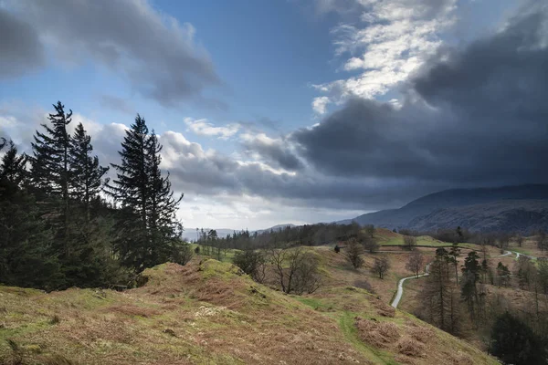 Atemberaubende Abendlandschaft Bild von Tarn Hows in uk Lake District — Stockfoto