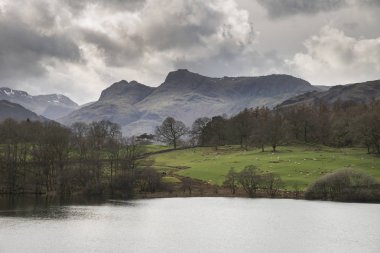 Ingiltere Gölü bölgesinde Loughrigg Tarn ModY manzara görüntü Durin