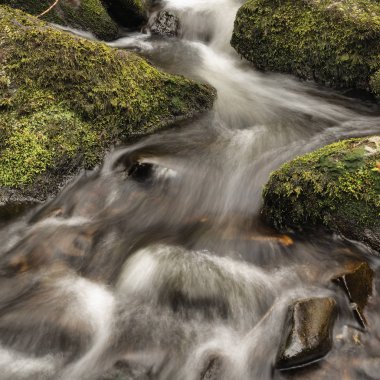 River Teign akan Çarpıcı huzurlu Bahar manzara görüntü 
