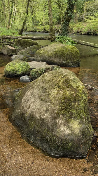 Superbe image paisible du paysage printanier de la rivière Teign coulant — Photo