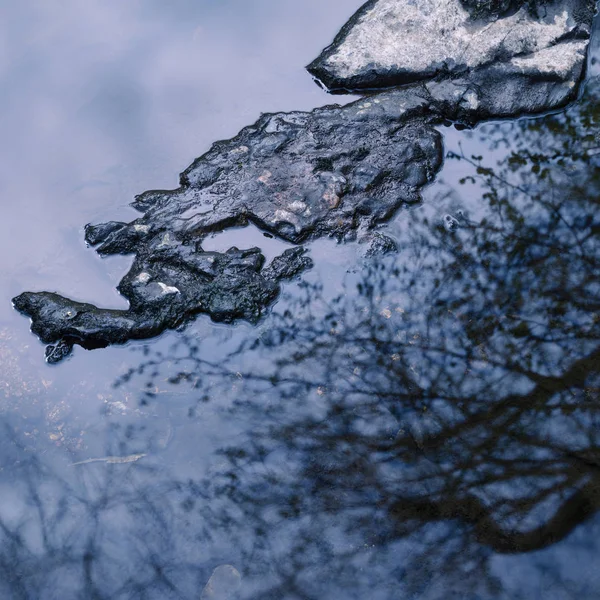 Imagen abstracta inusual del paisaje de los árboles reflejada en el ingenio del río —  Fotos de Stock