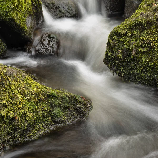 Impressionante paisagem pacífica Primavera imagem do rio Teign fluindo — Fotografia de Stock