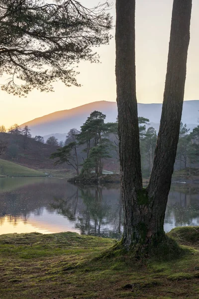 Belle image de paysage de Tarn Hows dans Lake District pendant b — Photo