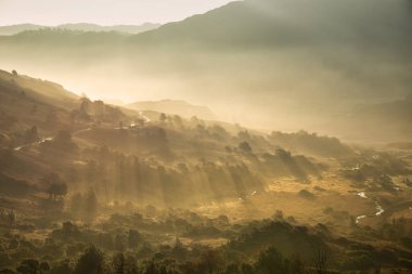 Göl bölgesinde güzel sonbahar Sonbahar Manzara gündoğumu zeka