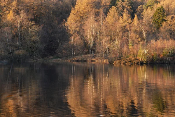 Bela imagem da paisagem de Tarn Hows em Lake District durante b — Fotografia de Stock