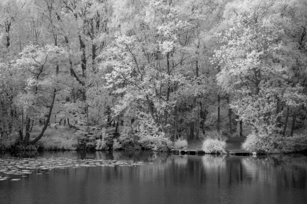 Atemberaubende schwarz-weiße Infrarot-Sommerlandschaft des Sees und — Stockfoto