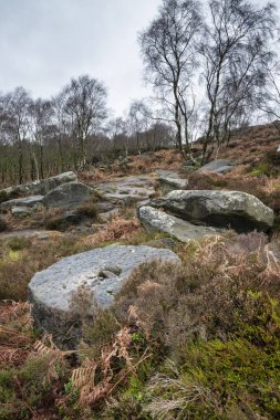 Englan Peak District Dramatik karamsar Kış manzara görüntü