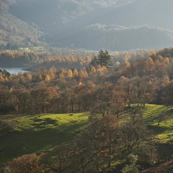 Schöne Herbst Herbst Landschaft Bild der Ansicht von den Katzenglocken — Stockfoto