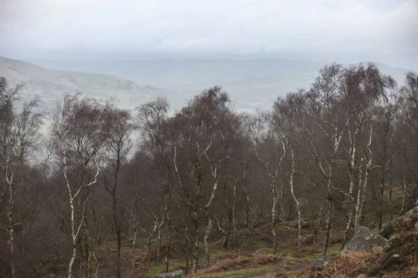 Imagen dramática del paisaje invernal del Peak District en Englan — Foto de Stock