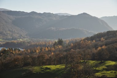 Catbells görünüm güzel sonbahar sonbahar manzara görüntü 