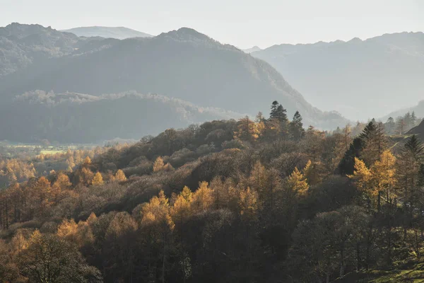 Schöne Herbst Herbst Landschaft Bild der Ansicht von den Katzenglocken — Stockfoto