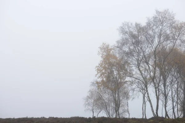 Atemberaubende farbenfrohe Herbstlandschaft im nebligen Peak District i — Stockfoto