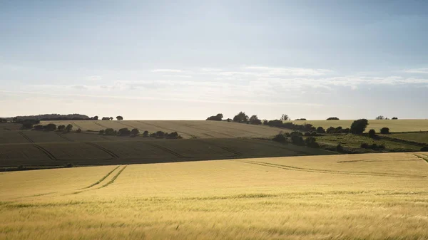 Beautiful Summer landscape of agricultural fields in English cou — Stock Photo, Image