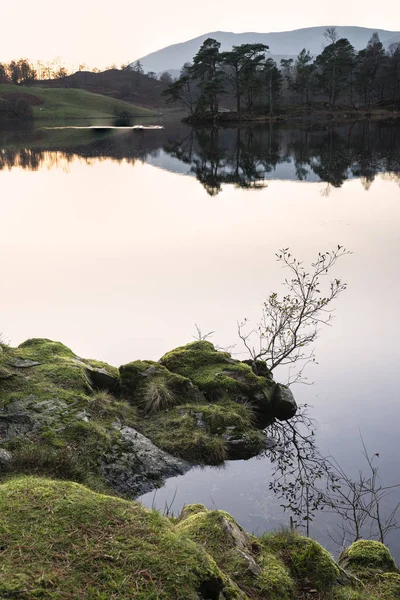 Obraz pejzaż piękny Tarn Hows w Lake District podczas b — Zdjęcie stockowe