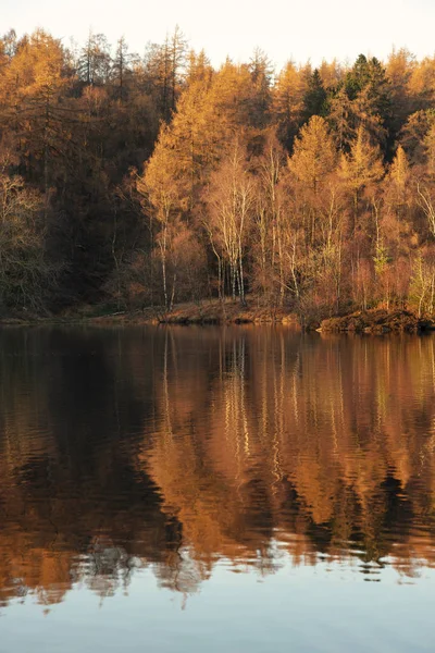 Beautiful landscape image of Tarn Hows in Lake District during b — Stock Image Beautiful landscape image of Tarn Hows in Lake District during b Stock Picture