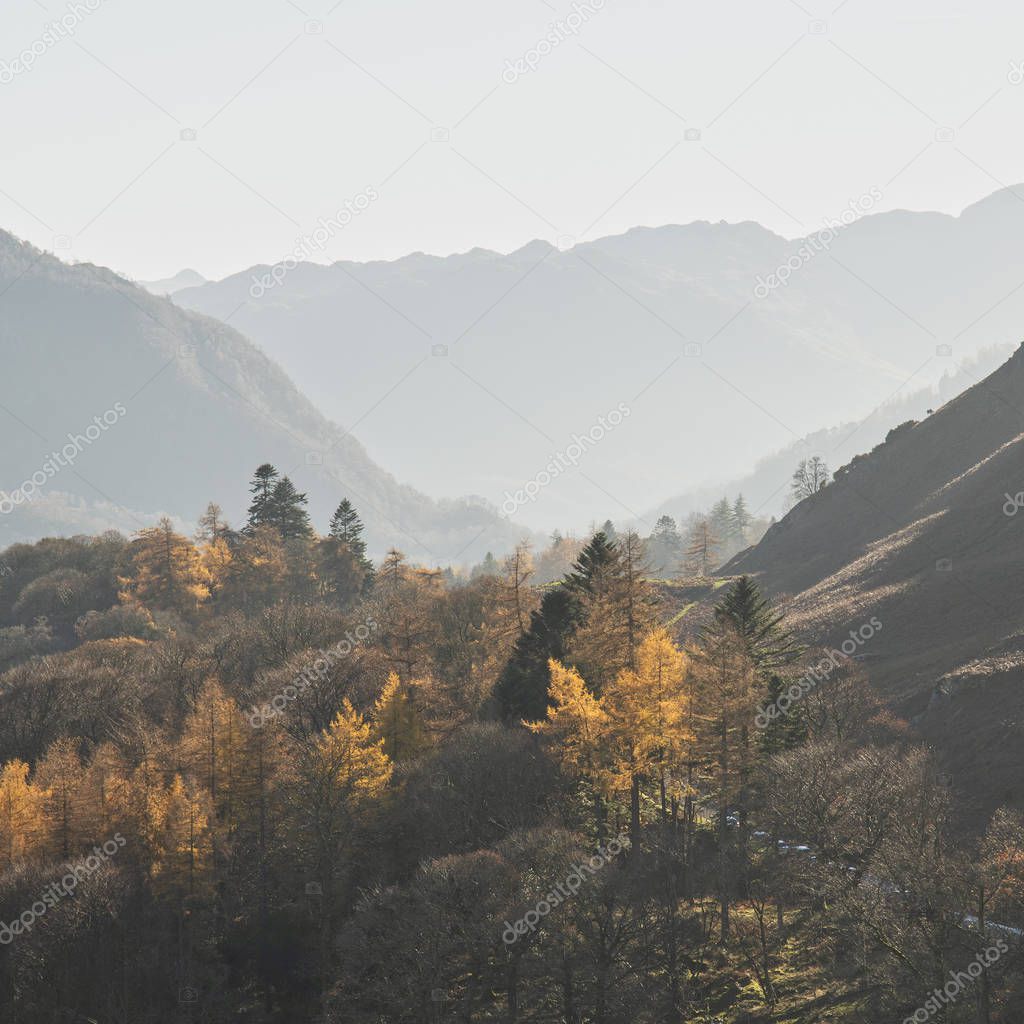 Beautiful Autumn Fall landscape image of the view from Catbells 