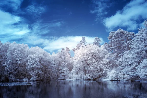 Splendido surreale falso colore infrarosso Estate paesaggio del lago — Foto Stock