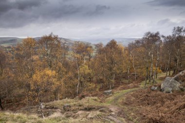 Çarpıcı sonbahar sonbahar manzara olay yerinden tepe görünümünde sürpriz 