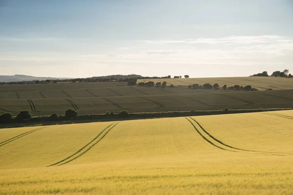 Prachtige zomer landschap van agrarische velden in het Engels Cou — Stockfoto