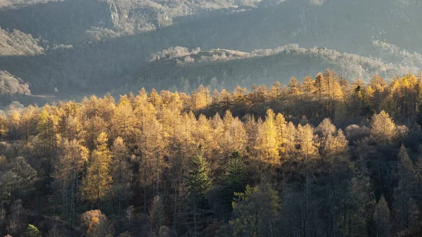 Hermoso otoño Otoño Imagen del paisaje de la vista desde Catbells — Foto de Stock