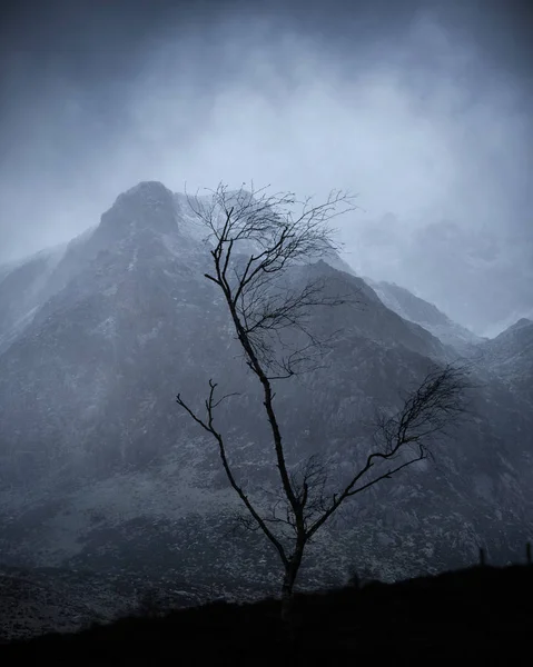 Impressionante mal-humorado dramático inverno paisagem imagem de neve tampado Y G — Fotografia de Stock