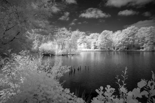 Oszałamiająca czarno-biała Infra Red letni krajobraz jeziora i — Zdjęcie stockowe