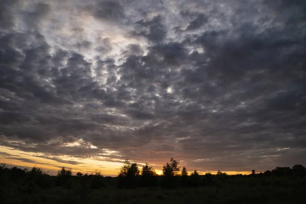 Ohromující letní obrázek zalesněných ploch během západu slunce s s — Stock fotografie