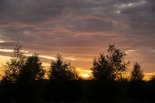 Splendida immagine del paesaggio estivo del bosco durante il tramonto con s — Foto Stock
