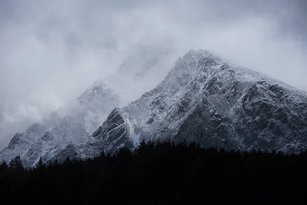 Superbes images de paysages de détails de stylo enneigé Yr Ole Wen mo — Photo