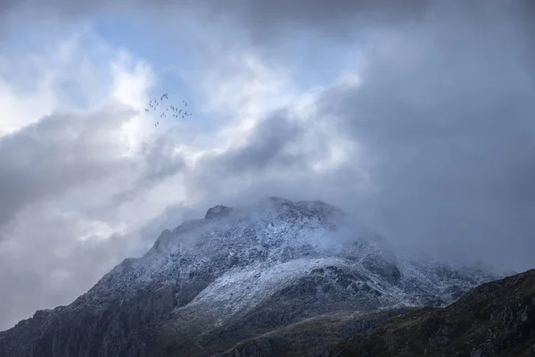 Impresionante moody dramático Imagen del paisaje de invierno de nevado Pruebe —  Fotos de Stock