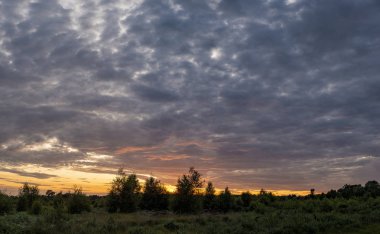 S ile gün batımı sırasında ormanlık Çarpıcı Yaz manzara görüntü