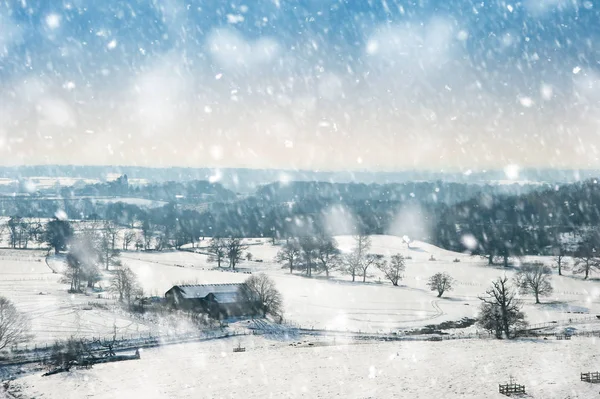 Winter landelijk platteland landschap op heldere blauwe hemel dag in hea — Stockfoto