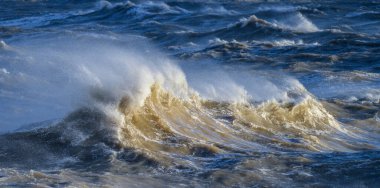 Stunning image of individual wave breaking and cresting during violent windy storm with superb wave detail clipart