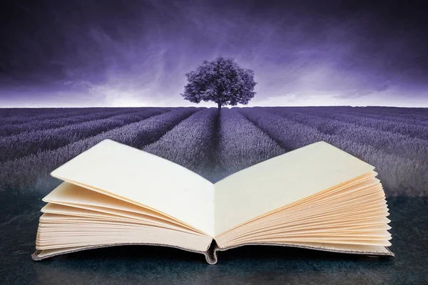 Conceptual Composite Open Book Image Beautiful Image Lavender Field Landscape — Stock Photo, Image