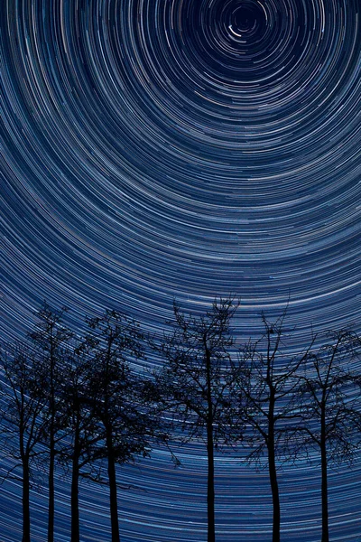 Imagen Compuesta Digital Senderos Estelares Alrededor Polaris Con Siluetas Árboles — Foto de Stock