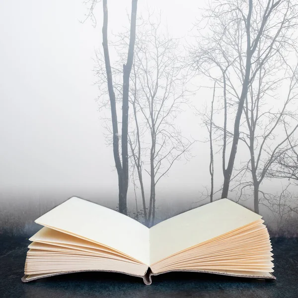 Digital Composite Concept Image Open Book Wth Dramatic Moody Foggy — Stock Photo, Image