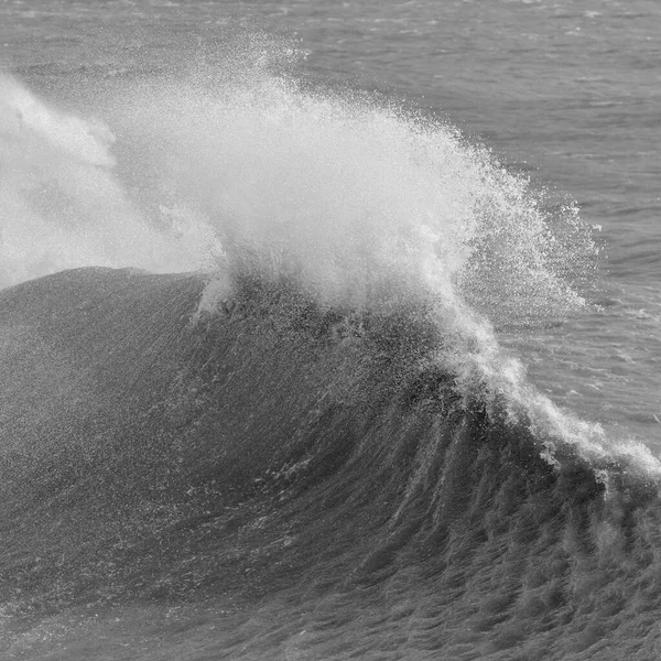 Imagem Impressionante Quebra Onda Individual Cresting Durante Violenta Tempestade Vento — Fotografia de Stock