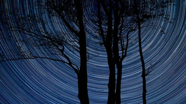 Cyfrowy Złożony Obraz Szlaków Gwiezdnych Wokół Polaris Oszałamiającym Gołym Krajobrazem — Zdjęcie stockowe