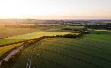 Sersemletici drone manzara görüntüsü yemyeşil yaz İngiliz kırsalında öğleden sonra ışığı altında