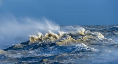 Stunning image of individual wave breaking and cresting during violent windy storm with superb wave detail clipart