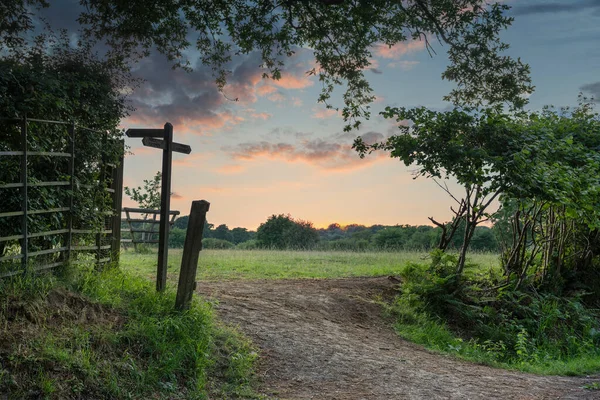 Hermosa Campiña Inglesa Imagen Del Paisaje Del Atardecer Verano Con — Foto de Stock