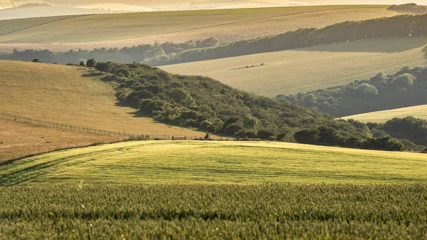 Mooie Late Zomer Namiddag Licht Glooiende Heuvels Het Engels Platteland — Stockfoto