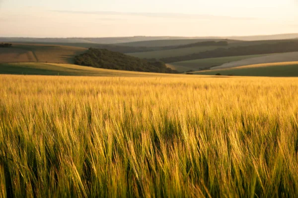 Beautiful Late Summer Afternoon Light Rolling Hills English Countryside Landscape — Stock Photo, Image