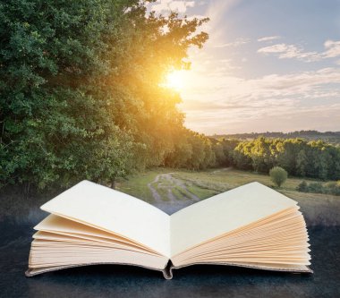 Ashdown Ormanı 'ndaki İngiliz kırsal kesimindeki ağaçların arasından geçen açık kitap ve yaz akşamı güneşinin dijital konsept görüntüsü.