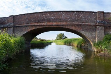 Sersemletici drone manzara görüntüsü yemyeşil yaz İngiliz kırsalında öğleden sonra ışığı altında