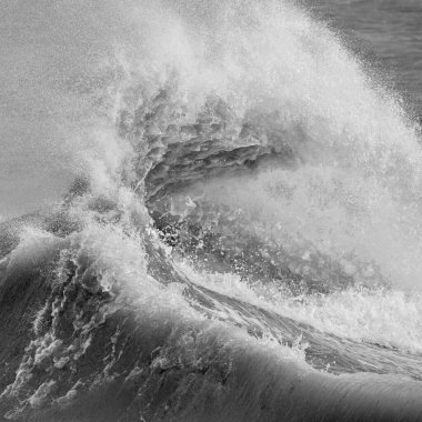 Stunning image of individual wave breaking and cresting during violent windy storm in black and white with superb detail clipart