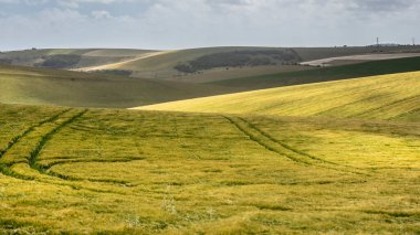 İngiliz kırsalının güzel manzarası. Hoş bir yaz öğleden sonrası. Yuvarlanan tepeler.