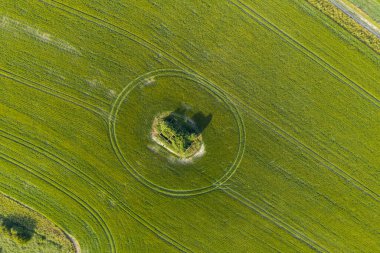Öğleden sonra gün batımında İngiliz kırsalının güzel insansız hava aracı görüntüsü. Yaz ışığı.