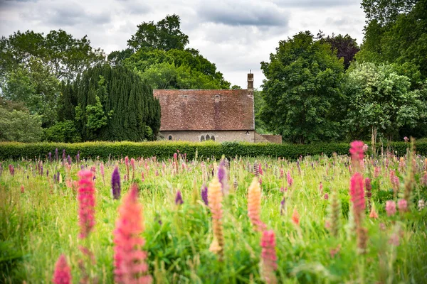 Schöne Sommerwiese Mit Lebendigen Lupinenblüten Englischen Landhausgarten Mit Flacher Tiefenschärfentechnik — Stockfoto